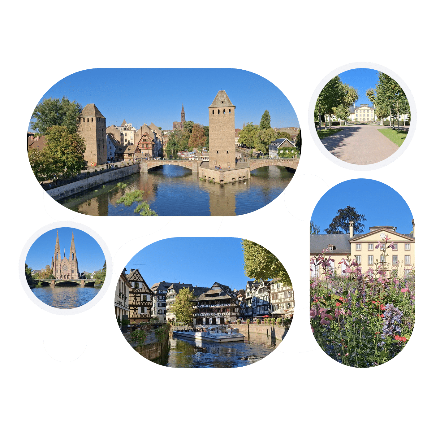 Illustration CPTS Strasbourg